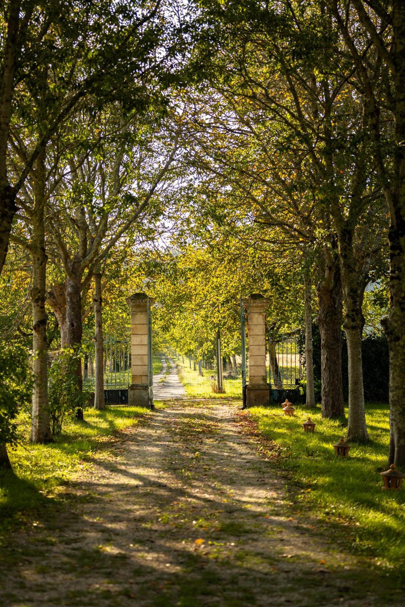 Chateau La Gineste - Castle And Vineyard Duravel Buitenkant foto
