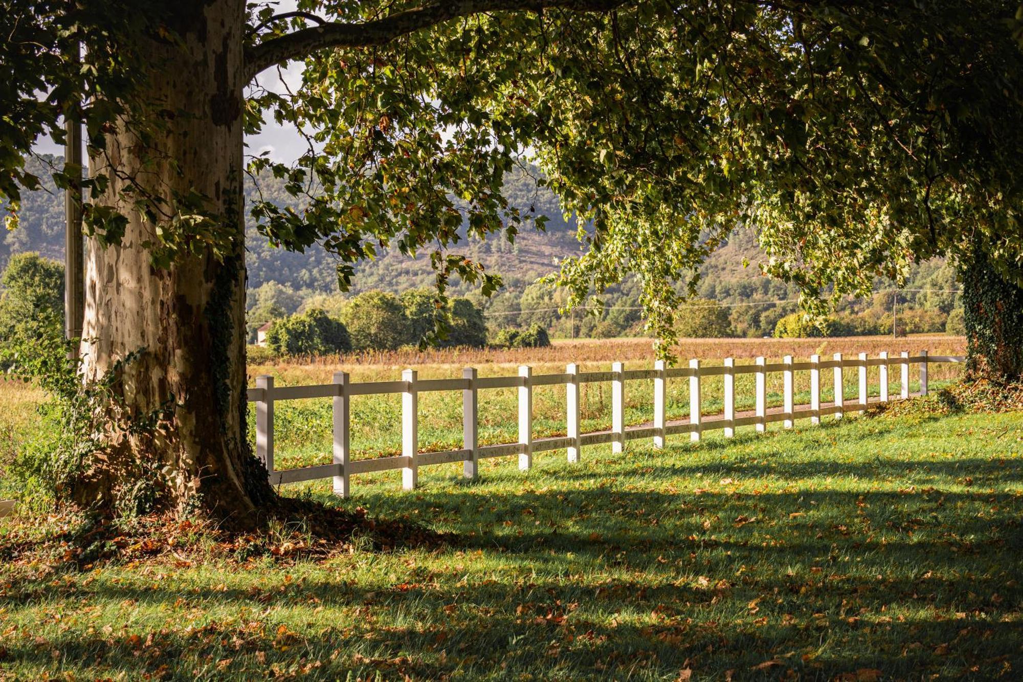 Chateau La Gineste - Castle And Vineyard Duravel Buitenkant foto