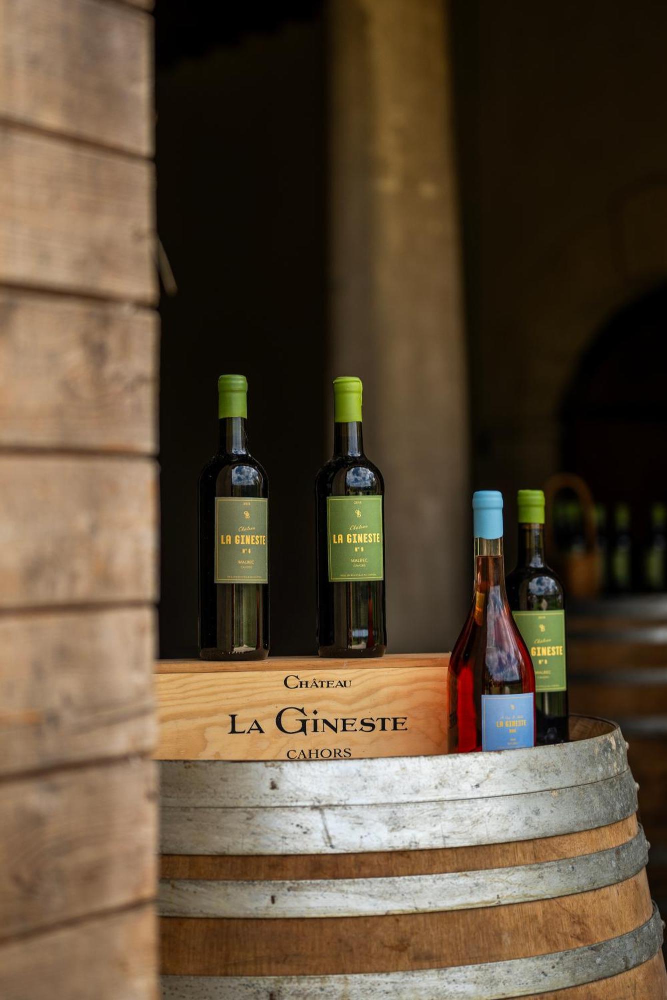 Chateau La Gineste - Castle And Vineyard Duravel Buitenkant foto