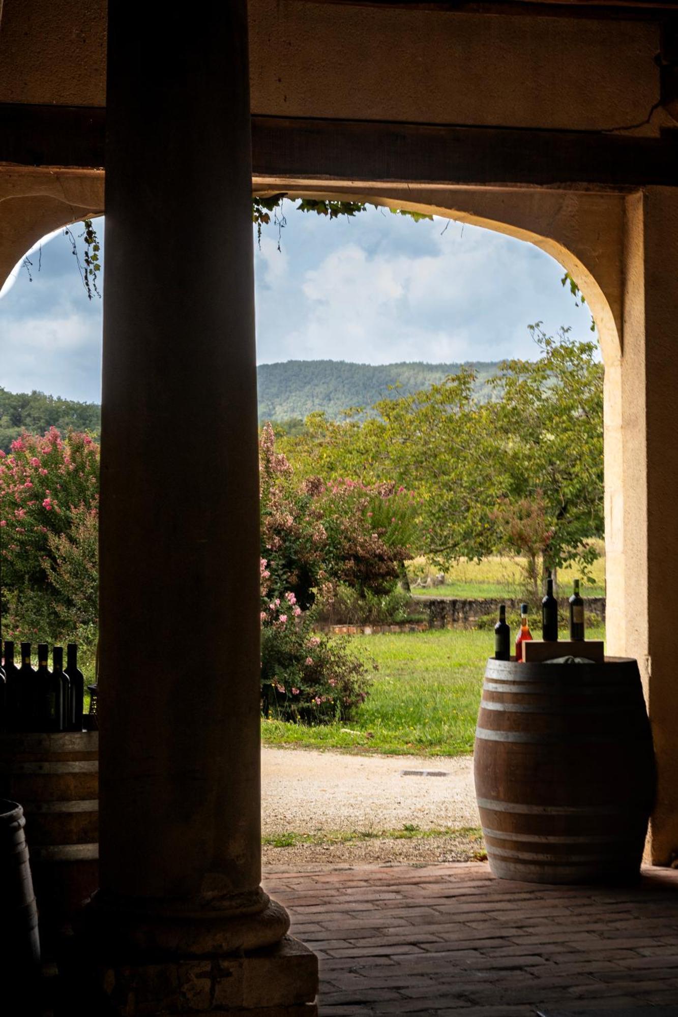 Chateau La Gineste - Castle And Vineyard Duravel Buitenkant foto
